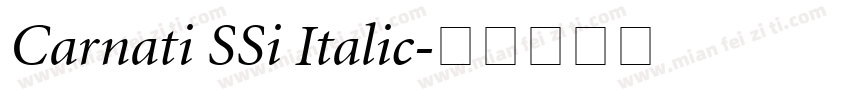 Carnati SSi Italic字体转换